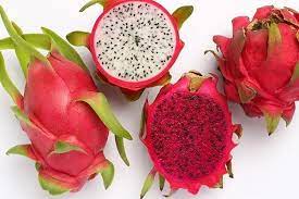  Thanh Long Phương Đông